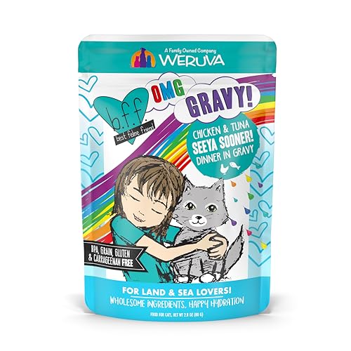 B.F.F. OMG Best Feline Friend Oh My Gravy! (2.8 Ounce (Pack of 12))