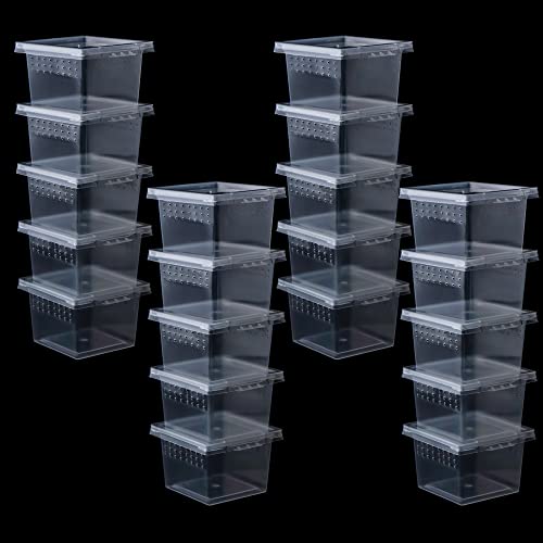 20 Pcs Spider Terrariums Breeding Box Hatching Container Acrylic Feeding Box for Small Reptile Scorpion Centipede Insect