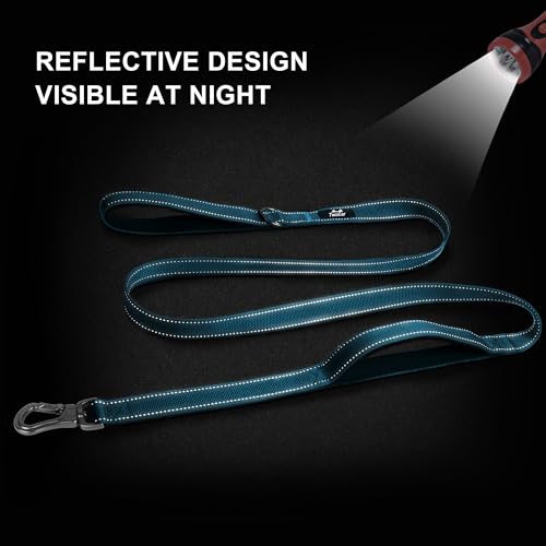 5FT 1IN Heavy Duty Dog Leash for Large Dogs with 2 Padded Handles (Blue / 1 in x 5 ft)
