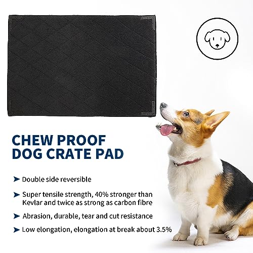 XS Durable Chew Proof Dog Bed with Metal Rivet Corner (XS (23" L x 17" W) / Black)