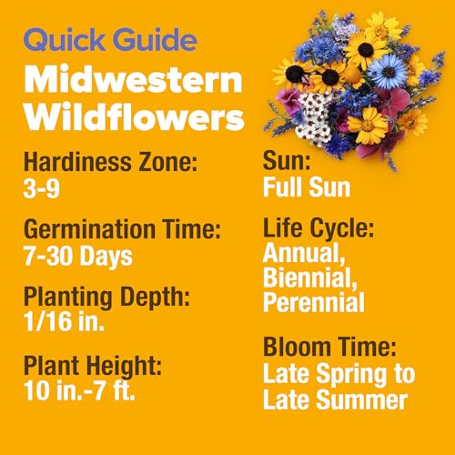 Midwest Wildflower Mix 32
