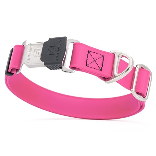 Biothane Waterproof Dog Collar with Herm Sprenger Black Stainless Steel Quick Release Buckle (W 1" x L 15"-25" / Passionfruit Pink)