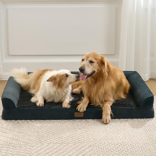 Orthopedic Dog Bed for Extra Large Dogs (Black / XL:44x32x7 inch)