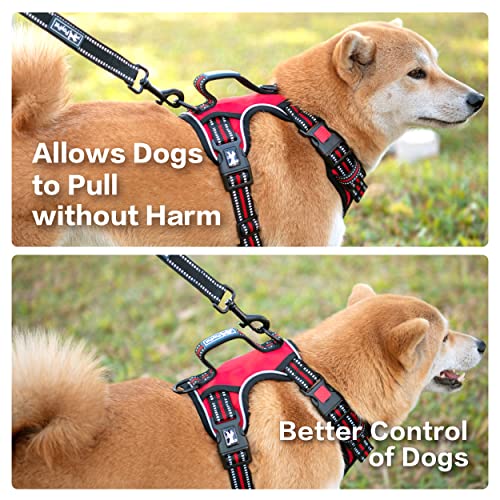 No Pull Dog Harness with 3 Leash Clips and Vertical Handle (Medium / Red)