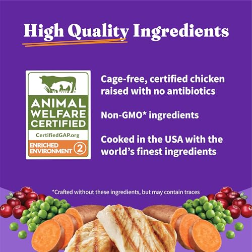 Holistic Indoor Dry Cat Food