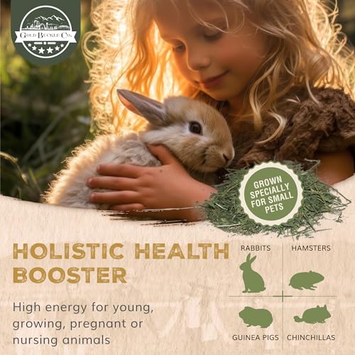 Premium Alfalfa Hay for Rabbits & Guinea Pigs (9 Pound (Pack of 1))