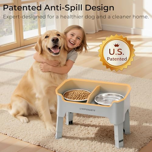 Mess Proof Elevated Dog Bowls (Light Grey / Medium)