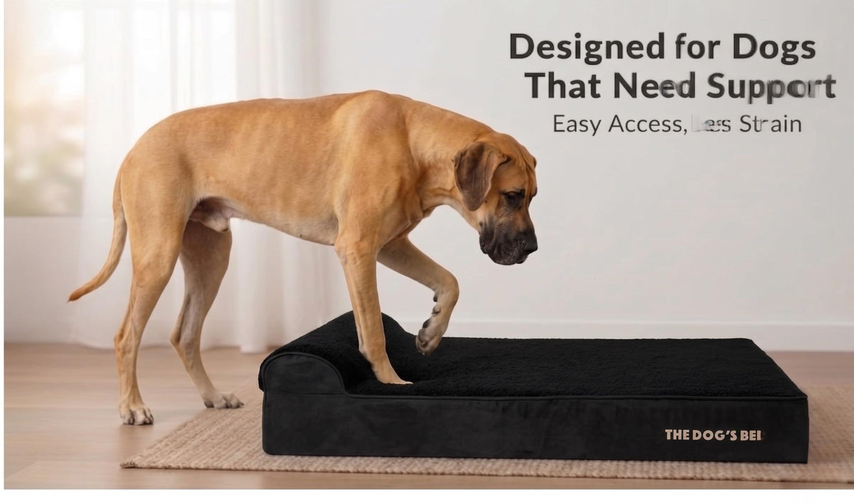 The Dog’s Bed Orthopedic Memory Foam Dog Bed with Headrest XL (Black Plush / XL (46"L x 28"W x 6"Th))
