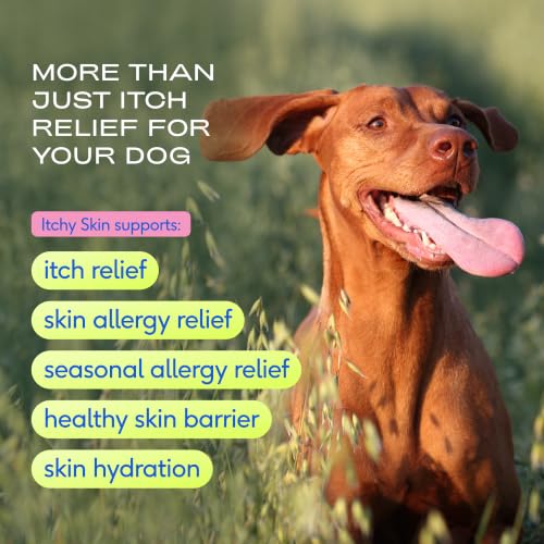 Itchy Skin Dog Itching Skin Relief (60 Count)