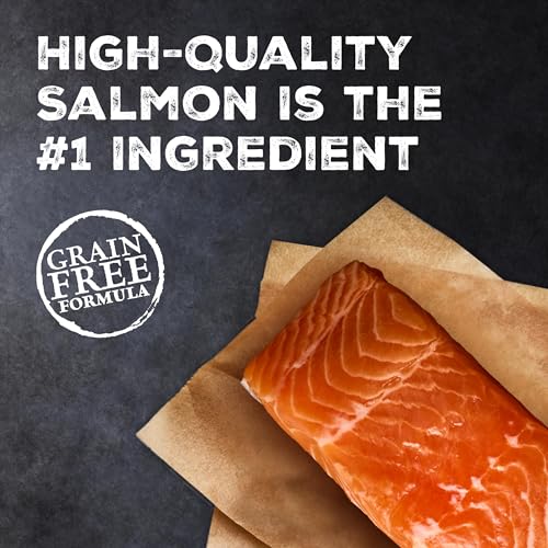 Wilderness Salmon Adult Dry Cat Food (11 Pound (Pack of 1))