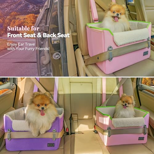 Small Dog Car Seat