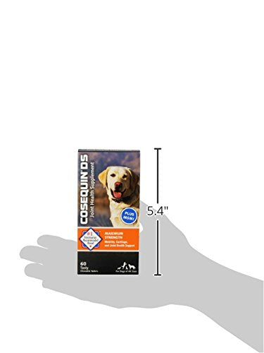 Nutramax Cosequin Joint Supplement (60 count / MSM)