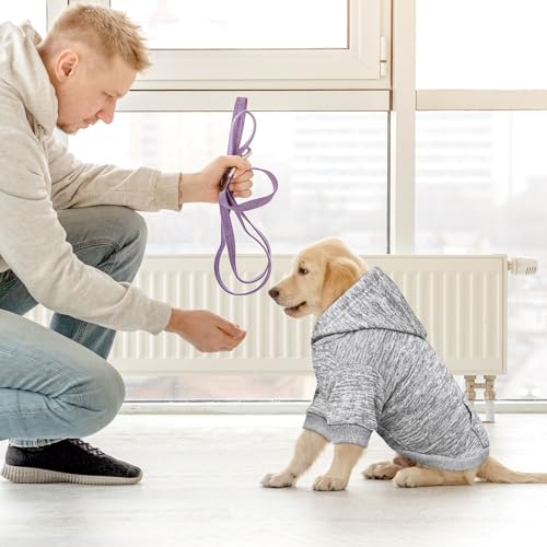 Dog Sweaters for Small Dogs Hoodie Fleece Dog Sweater Soft Clothes Sweatshirt with Pocket Hoodie for Small Dogs Puppy (Small / Grey)