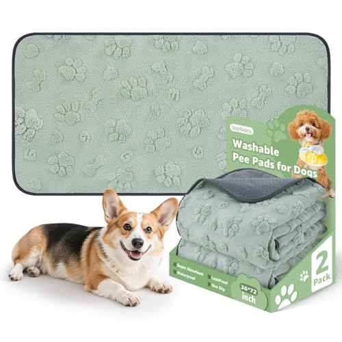 Reusable Pee Pads for Dogs (Green Dog Element / 36"x72"(Pack of 2))
