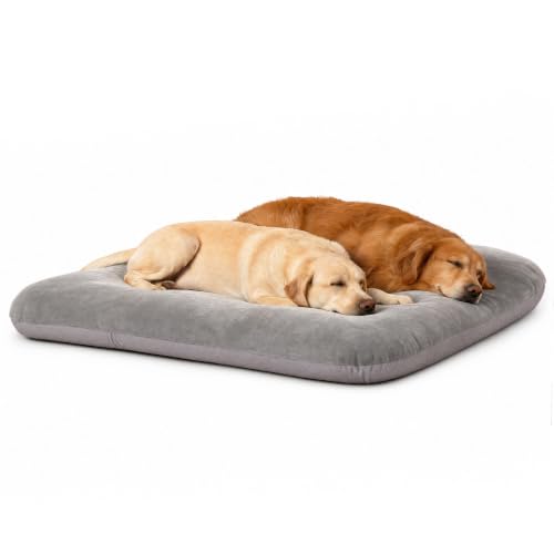 Orthopedic Extra Large Dog Bed 47 Inch (47.0"L x 39.0"W x 5.0"Th / Grey)