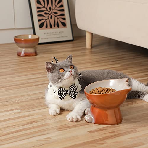 Elevated Cat Bowls (6.8 OZ+15.5 OZ / Brown)