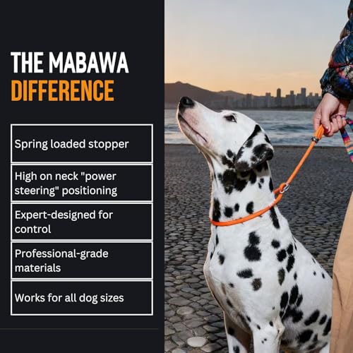 Dog Anti Slip Leash 5FT with Metal Stopper (Gray / 5.6FT)