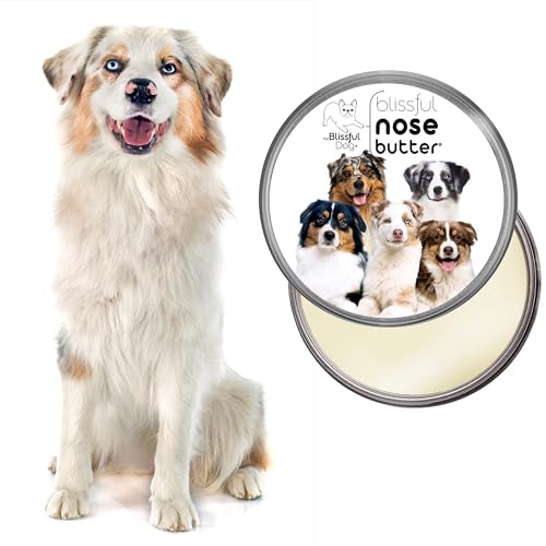 Australian Shepherd Nose Butter for Dry (Australian Shepherd / 8 Ounce)