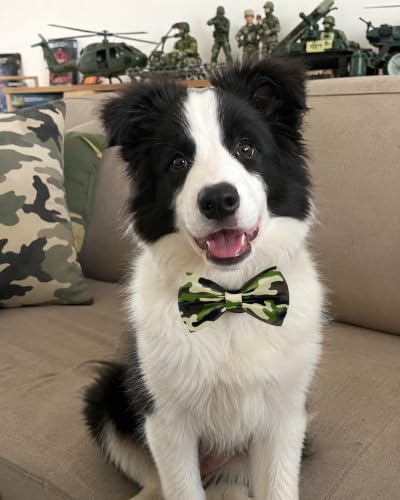 10 Pack Daily Dog Bowties for Large Dogs Sliding on Collar (M/L)