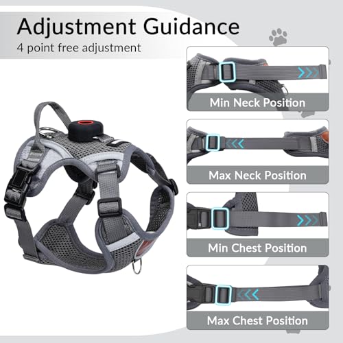 Harness and Leash Set with AirTag Holder for Large Cat Small Dog (Grey (Holder for Airtag) / XL)