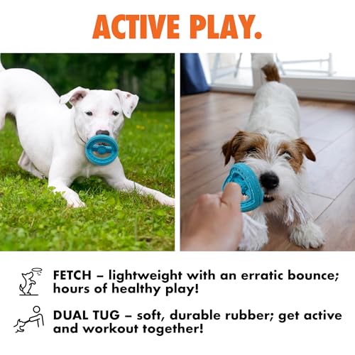 Max Fusion Phoenix Dog Toy