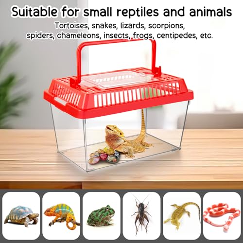 12Pcs Plastic Reptile Terrariums Carrier Cage (M)
