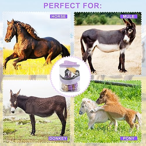 Horse Grooming Kit (Purple)
