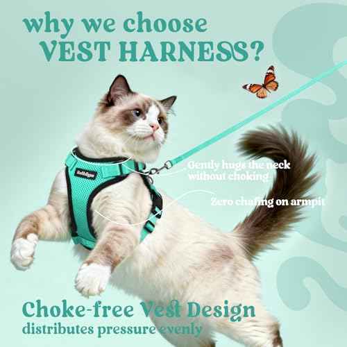 Cat Harness and Leash Set (M / Emerald)