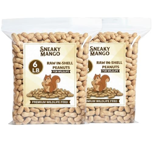Raw Peanuts in Shell (6 Pound (Pack of 2))