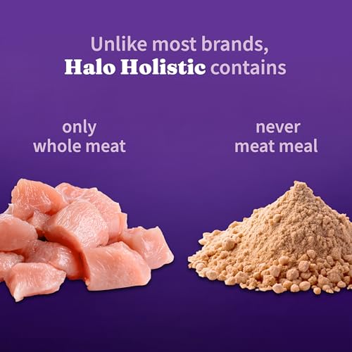 Holistic Dry Cat Food