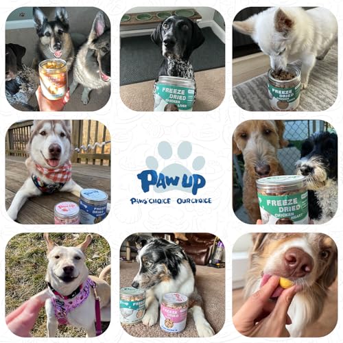 Freeze Dried Capelin with Roe Dog Treats