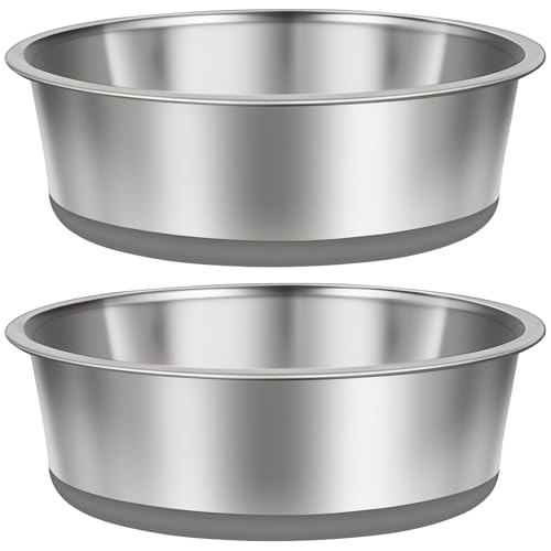 Stainless Steel Dog Bowls Set of 2 (11 CUP / Gray)