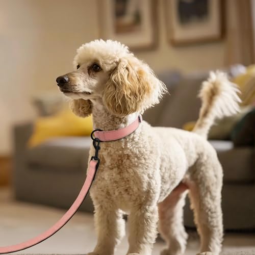 Soft PU Leather Dog Collar (M: Neck 11-15", Width ¾" / Pink)