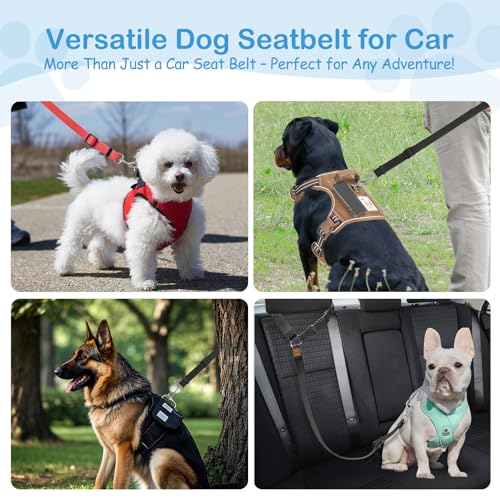 3 Pack Dog Seat Belt for Car (Red & Black & Purple)