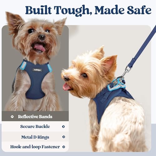 Dog Harness Medium Sized and Leash Set (Navy Blue / M (chest: 16 - 18.5"))