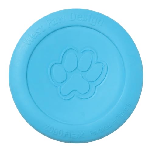Zisc High Flying Disc Dog Toy (Small / Aqua Blue)