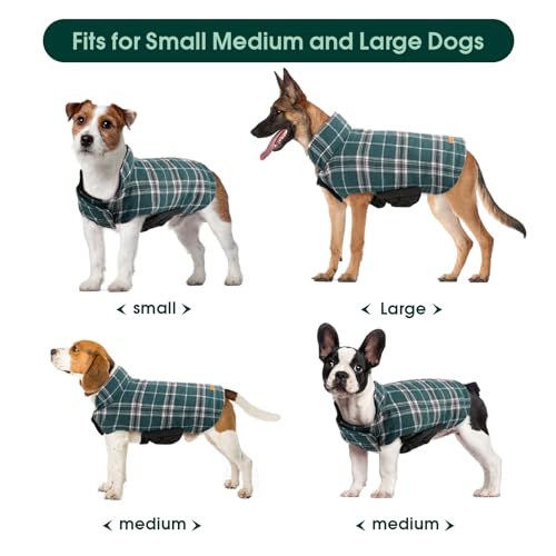 Waterproof Dog Coat (Green / Medium (Pack of 1))