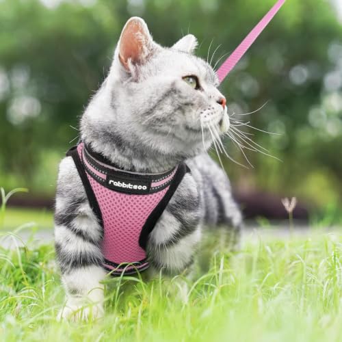 Cat Harness and Leash Set (S / Pink)