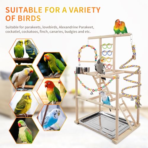 Bird Playground