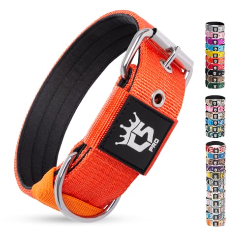 Heavy Duty Thick Dog Collar with Metal Buckle for Large Dogs (L – Fits Neck 18.9"-21.7" / Basic Orange)