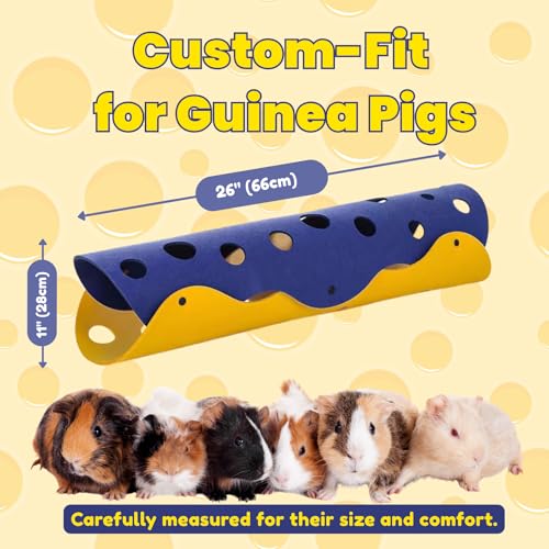 Guinea Pig Tunnel and Tube (Blue)