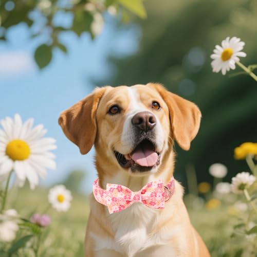 Cartoon Dog Collar with Bow Spring Summer Puppy Collar with Flower for Small Medium Large Boys Girls Dogs (XS / Spring Flower bow)
