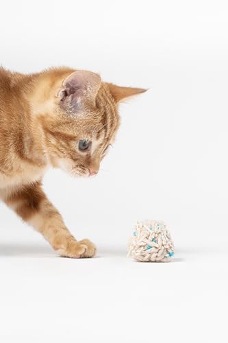 Tofu Cat Litter with Occult Blood Test