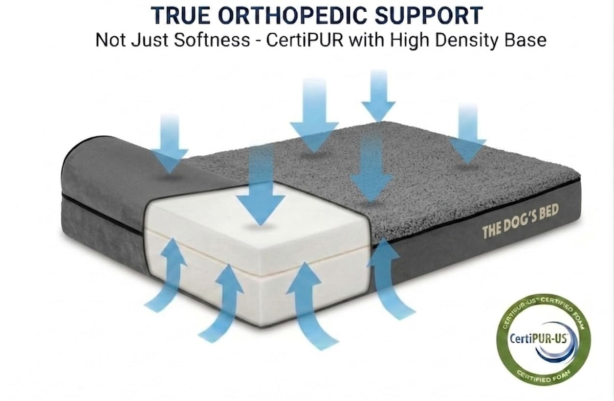 The Dog’s Bed Orthopedic Memory Foam Dog Bed with Headrest XL (Grey Plush / XL (46"L x 28"W x 6"Th))