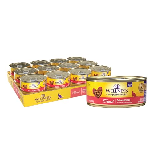 Complete Health Sliced Adult Canned Wet Cat Food (5.5 Ounce (Pack of 24))
