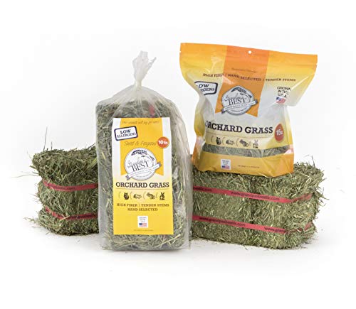 Orchard Grass Bale (2.5 Pound (Pack of 1))