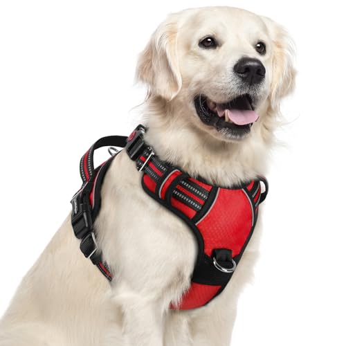 Dog Harness for Large (Red / X-Large)