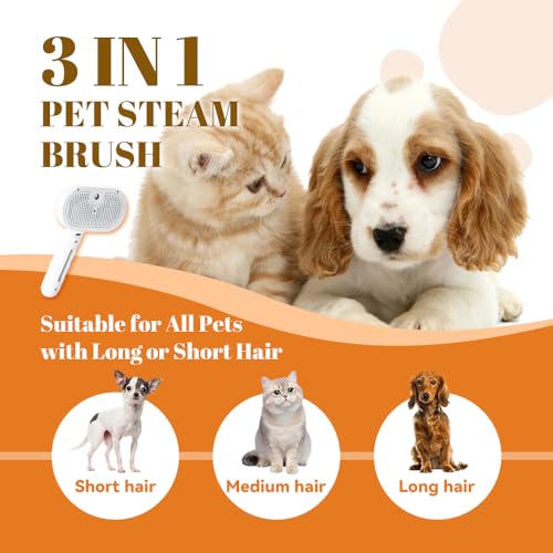 Cat Steam Brush