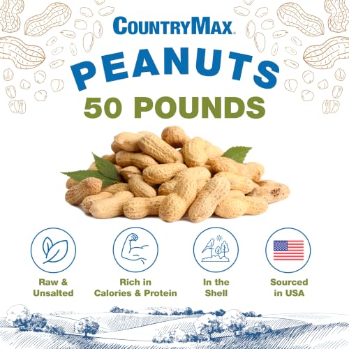Backyard Seeds 50 Pounds Peanuts in Shell (50 Pound (Pack of 1) / Raw In-Shell)