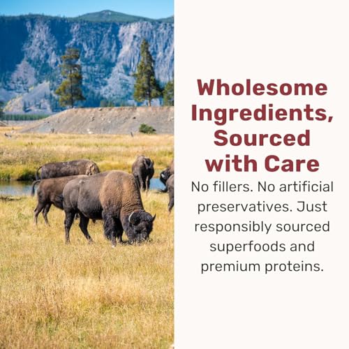 Superfood Nuggets (8 Ounce (Pack of 1))